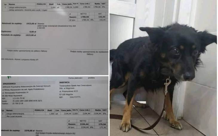 Zbiórka Ostatnia prośba... - zdjęcie główne