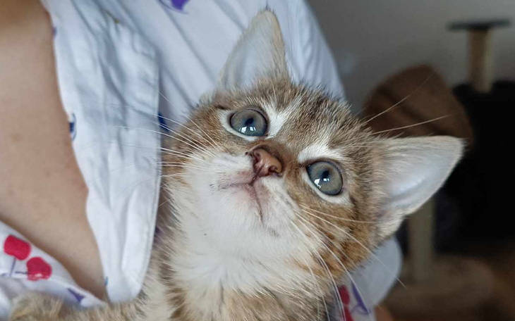 Zbiórka Pomoc małej Balbince - zdjęcie główne