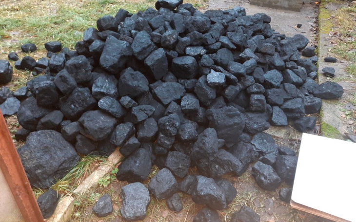 Zbiórka Zbieram pieniążki na opał na zim - zdjęcie główne