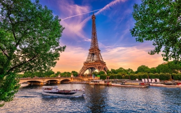 Koty w klatkach czekają na adopcję w schronisku.