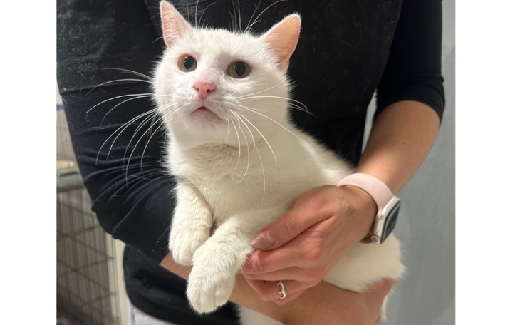 Zbiórka Walczymy o Herę - zdjęcie główne