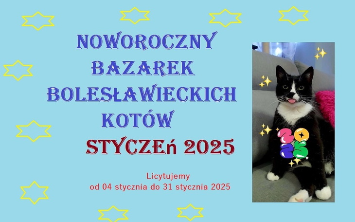 Zbiórka Styczniowy Bazarek - zdjęcie główne