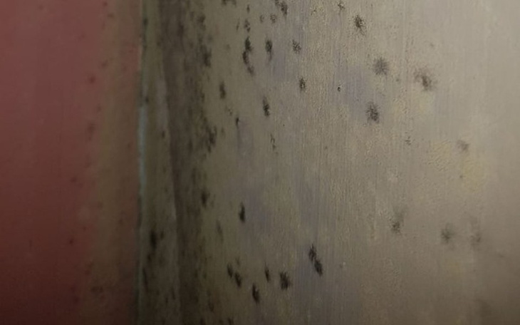 Zbiórka Na remont pokoju córeczki - zdjęcie główne