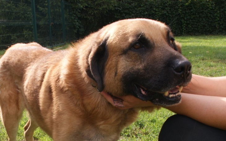 Zbiórka Amik zbiera na hotel - zdjęcie główne