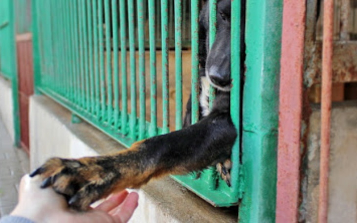 Zbiórka Zbiórka na schronisko 1A TAiR - zdjęcie główne