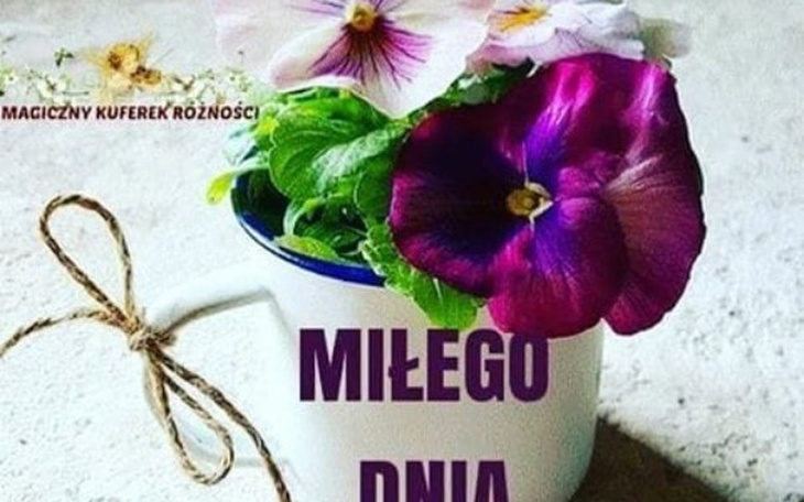 Zbiórka Pomoc potrzebującej - zdjęcie główne