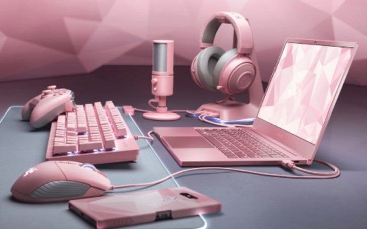 Zbiórka Na gamingowy set dla dziewczyny - zdjęcie główne