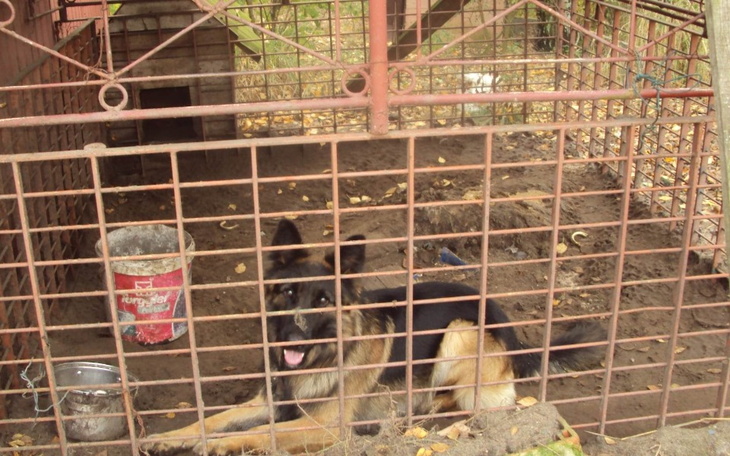 Zbiórka 10-lat za kratami - zdjęcie główne