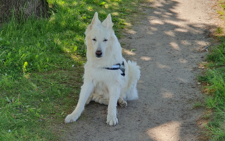 Zbiórka Pomóc swojemu przyjacielowi - zdjęcie główne