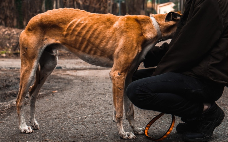 Zbiórka Odzyskać zdrowie i nadzieję - zdjęcie główne