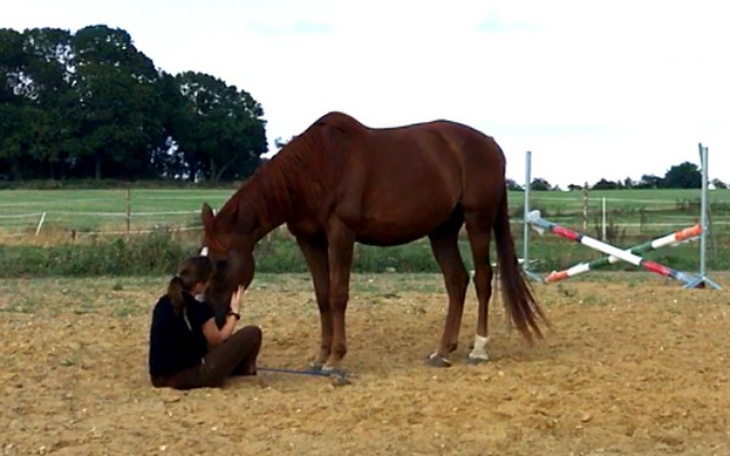 Zbiórka Walka o życie Libora - zdjęcie główne
