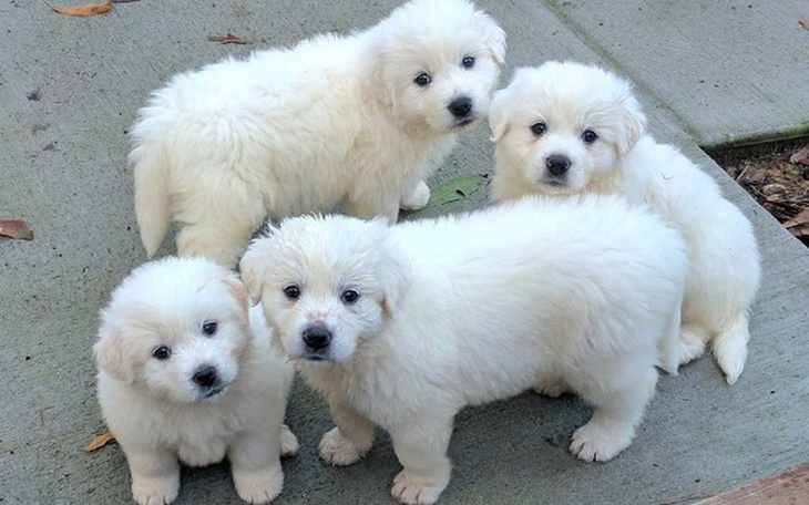 Zbiórka Fresh start - zdjęcie główne