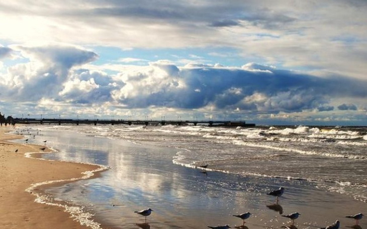 Zbiórka Wycieczkadladziecizdomudziecka - zdjęcie główne