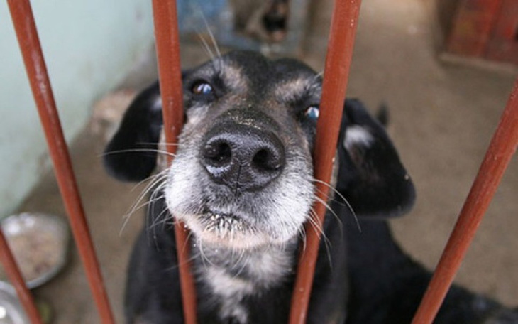 Zbiórka Przetrwajmy tę zimę - zdjęcie główne