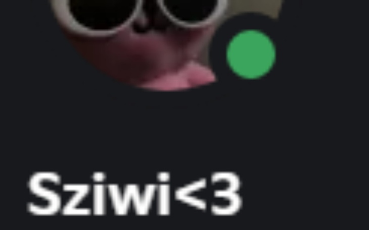 Zbiórka Premka i skrzydła lc dla sziwi - zdjęcie główne