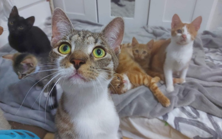 Zbiórka Nakarm puste brzuszki - zdjęcie główne