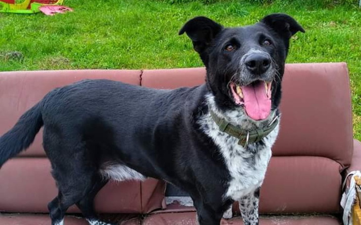 Zbiórka Aby Barry mógł chodzić - zdjęcie główne