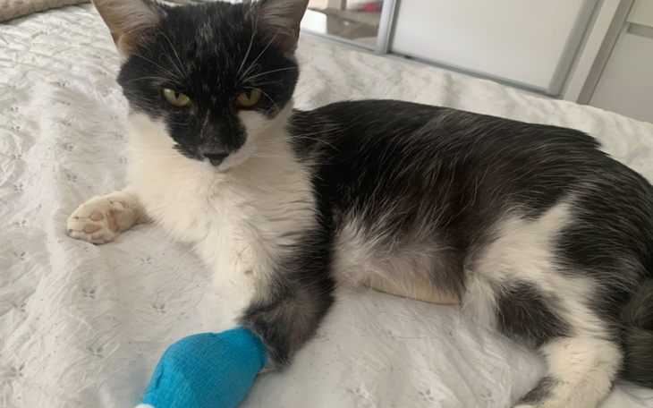 Zbiórka Uratujmy Wintera - zdjęcie główne