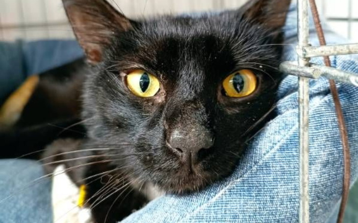 Zbiórka Wisiał na płocie i wył z bólu - zdjęcie główne