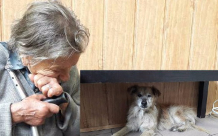 Zbiórka Bączuś i Starsza Pani - POMAGAMY - zdjęcie główne