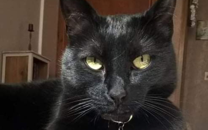 Zbiórka Na zawody sportowe. - zdjęcie główne