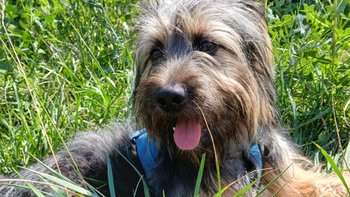 Zbiórka Opłata za hotelik - miniaturka zdjęcia