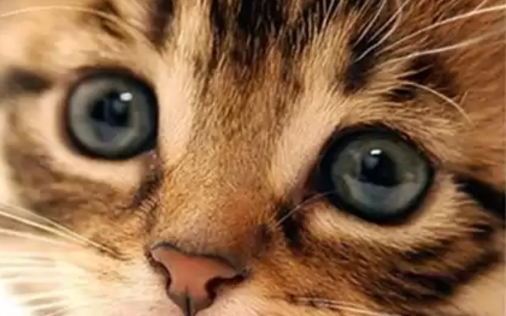 Zbiórka Rozpoczęcie Prawo jazdy - zdjęcie główne