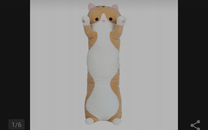 Zbiórka Wymarzony kitek dla Sashy - zdjęcie główne