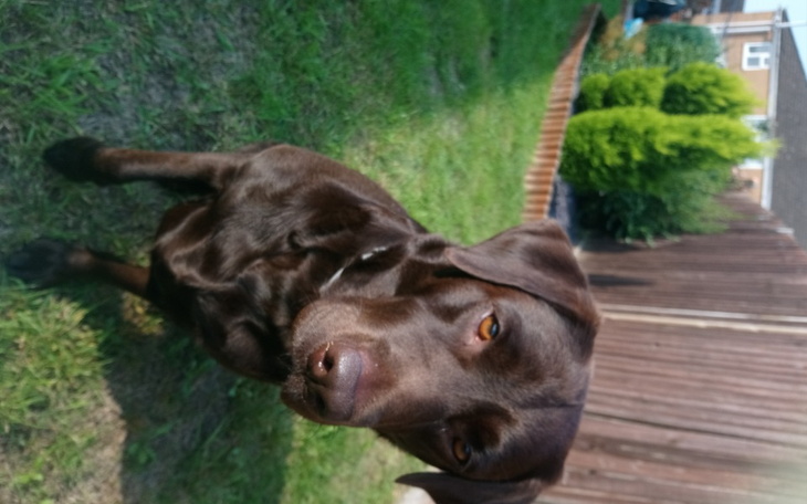 Zbiórka Rubi - zdjęcie główne