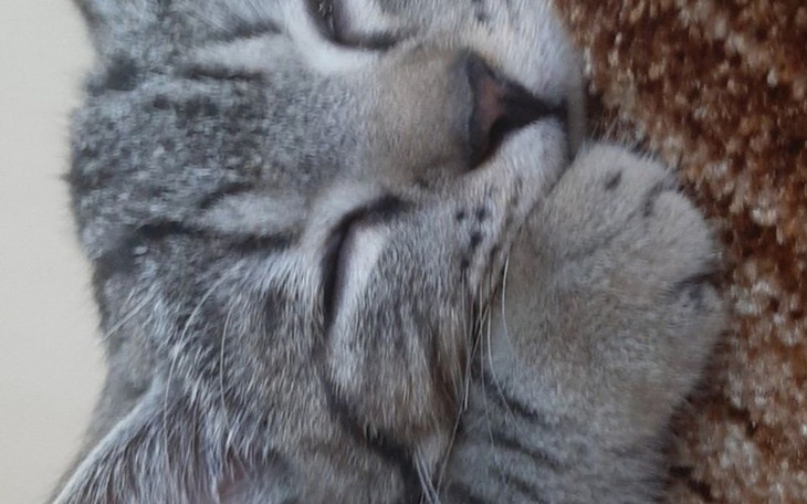 Zbiórka Długi i na życie - zdjęcie główne