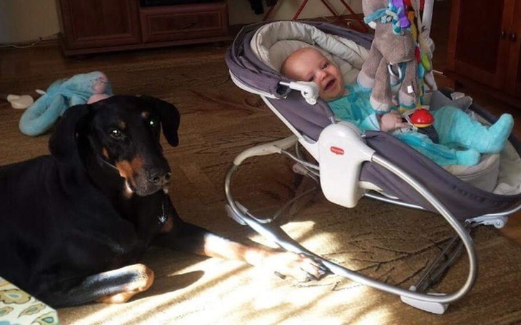 Zbiórka Luis prosi o Państwa pomoc! - zdjęcie główne