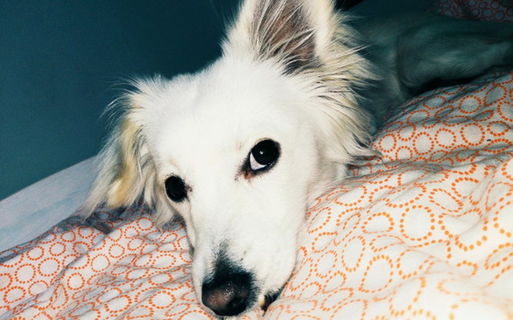 Zbiórka Zbiórka na operację Maksia - zdjęcie główne