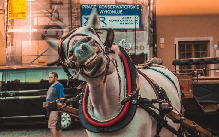 Zbiórka Młody talent fotograficzny :) - zdjęcie główne