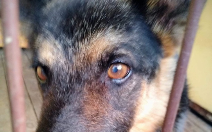 Zbiórka Aby Edziu przetrwał zimę - zdjęcie główne