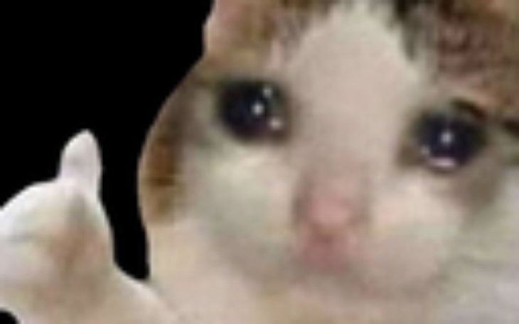 Zbiórka Dacie coś na lapka - zdjęcie główne