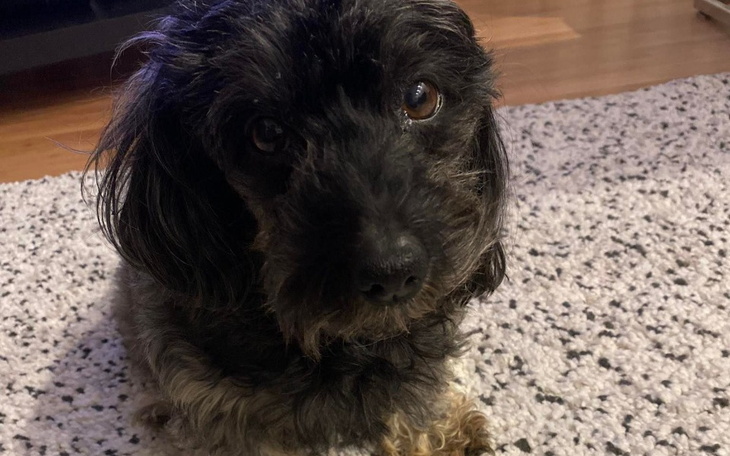 Zbiórka Mika z chłoniakiem - zdjęcie główne