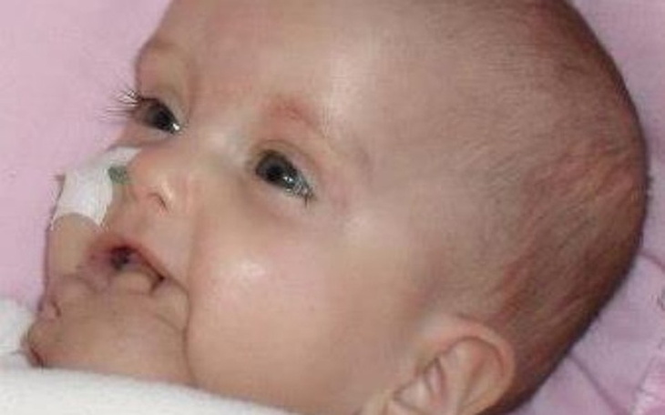 Zbiórka Kosztowne lenie i rehabilitacja - zdjęcie główne