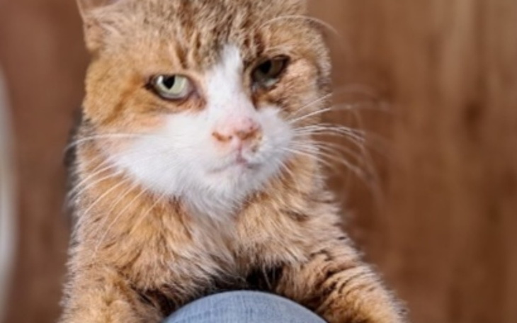 Zbiórka By tylko móc pomagać - zdjęcie główne