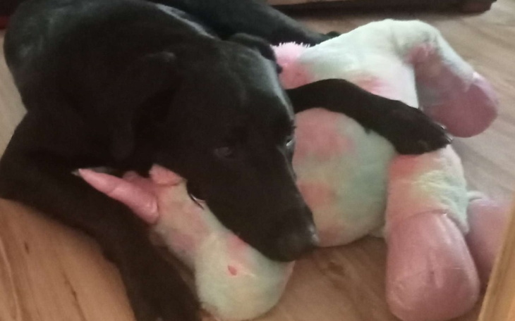 Zbiórka zbiórka na Paco - zdjęcie główne