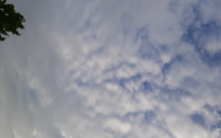 Zbiórka Na auto dla dziadka - zdjęcie główne