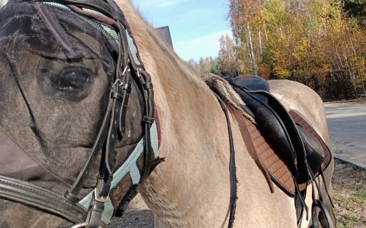 Zbiórka Wszytsko co wazne - zdjęcie główne