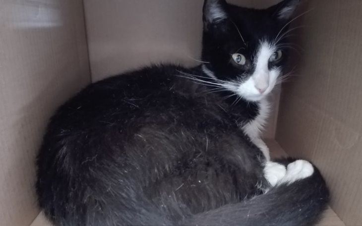 Zbiórka Dla Ślimaczka i jego przyjaciół! - zdjęcie główne