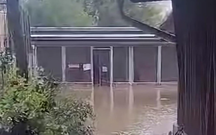 Zbiórka Pomoc dla zwierząt z Nysy - zdjęcie główne