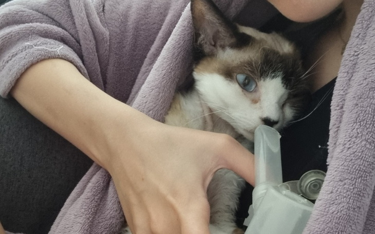 Kobieta trzymająca kota, który korzysta z inhalatora.