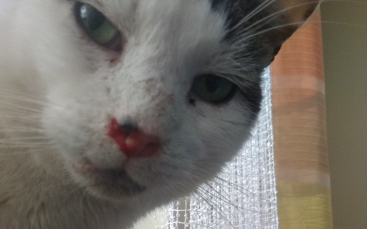 Zbiórka uratuj życie Tymkowi błagamy - zdjęcie główne