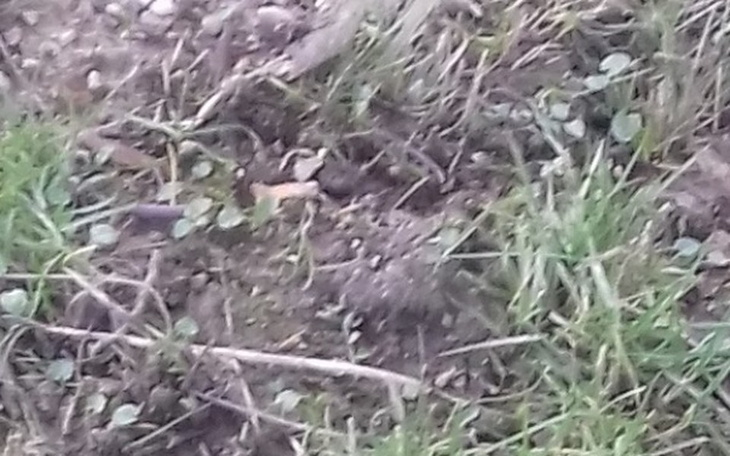 Zbiórka Żyć spokojnie - zdjęcie główne