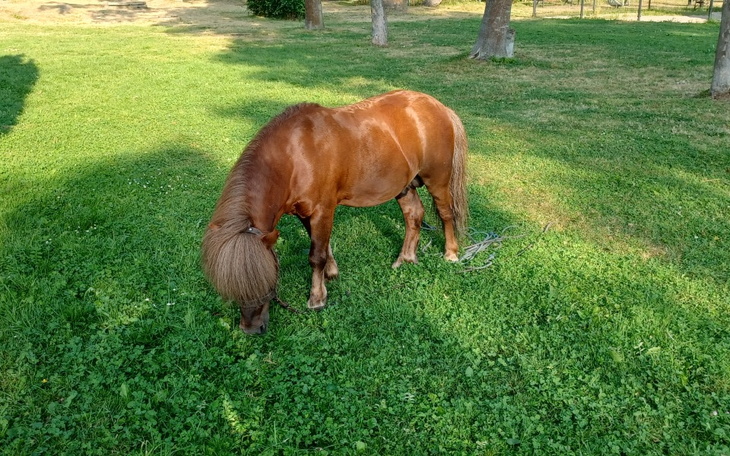 Zbiórka Potrzebujemy na jedzenie - zdjęcie główne