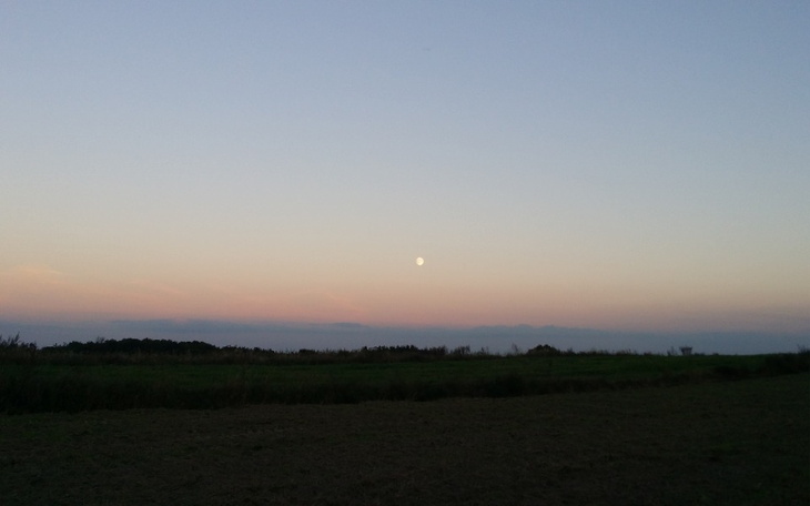 Malowniczy widok na pole z wschodzącym księżycem.