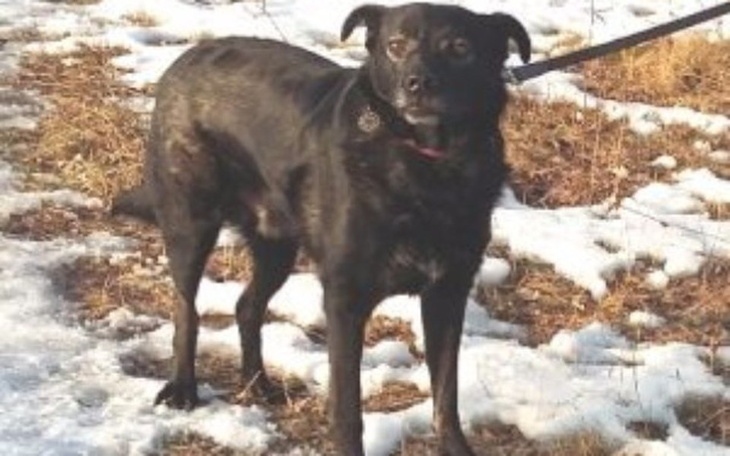 Zbiórka Hotelik Dla Filipka - zdjęcie główne