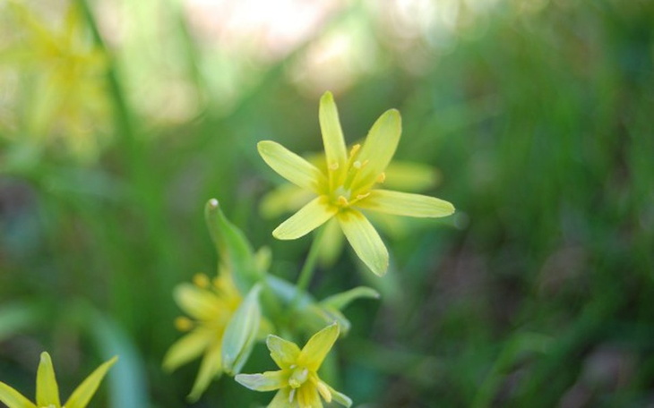 Zbiórka Spłacić przeszłość - Pomóż ! - zdjęcie główne